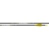 Center-Archery 120453-1006/12 : Easton Shaft Carbon X10 Parallel Pro 250 Dummy