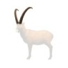 Center-Archery 107533-1000 : SRT Target 3D Ibex Horns