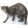 Center-Archery 107555-1000 : SRT Target 3D Walking Wildcat